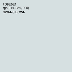 #D6E0E1 - Swans Down Color Image